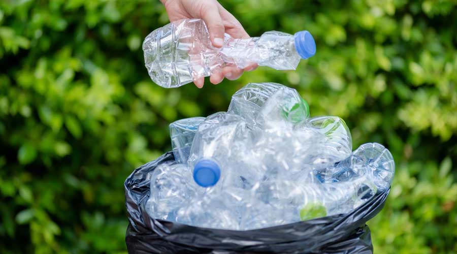 The Plastic Bottle: Convenience at a Cost